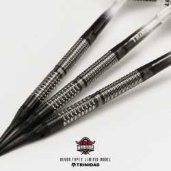 TRINIDAD Limited Model Devon Type 2. 21grs SOFTDARTS