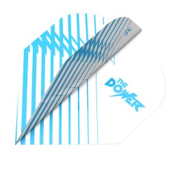 TARGET Phil Taylor Standard