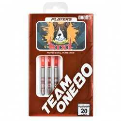 ONE80 Rixi DARTS.20g